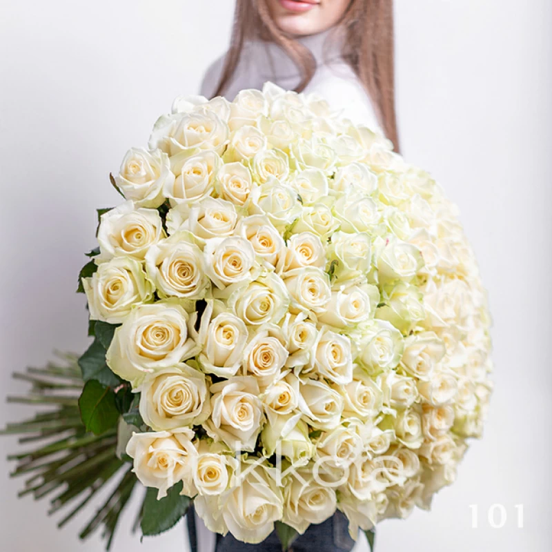Белая Роза Фото Картинки